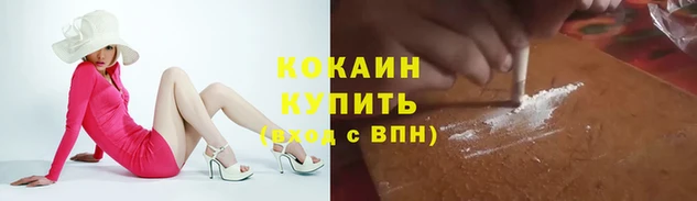 бошки Мегион