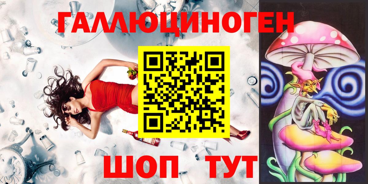 Галлюциногенные грибы Psilocybe  Барнаул 